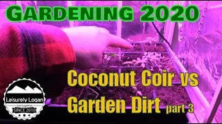 Seed Starting: Coconut Coir vs Garden Dirt part 3