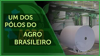 MS teve um crescimento exponencial da área de pastagem e celulose