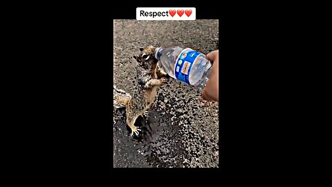 Respect💯💯🥹