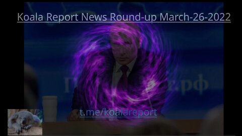 Koala-Report-News-Round-Up-March-26-22