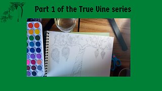 Part1 of the true vine video series