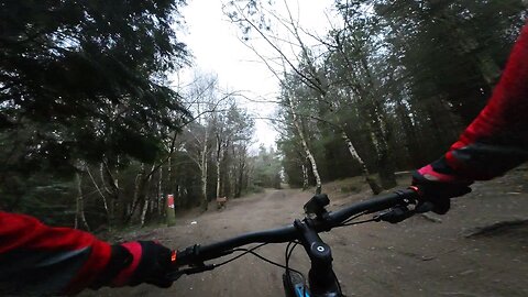 Cannock Chase Snap It