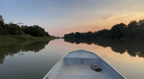 Piquiri River - pantanal - Mato Grosso - Brazil