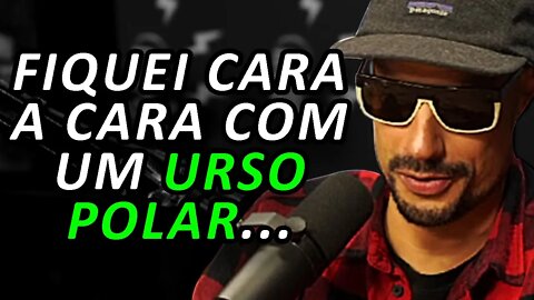 PERIGOS EM MORAR ONDE TEM URSOS POLARES - Flow #105