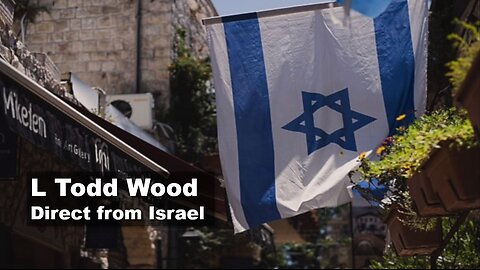 L Todd Wood Direct From Israel - Former Israeli Ambassador Chief Of Staff Yifa Segal 12/4/23