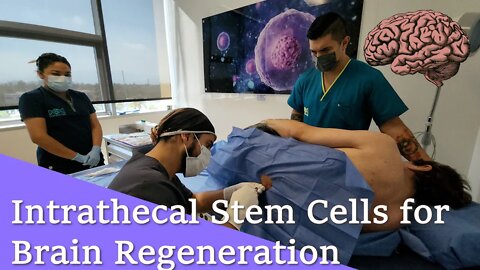 Intrathecal Stem Cells for Brain Regeneration