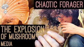 Chaotic Forager || Mycology, Ecosystems & the Explosion of Mushroom Media