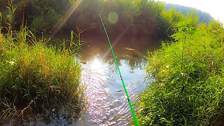 Spending a Quick Evening at the Trout Stream