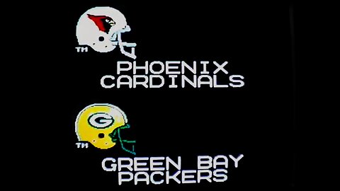 Packers at Cardinals NFC Divisional Playoff Tecmo nes