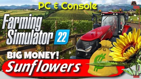 Growing Sunflowers harvesting Sunflower Seeds // Farming Simulator 22