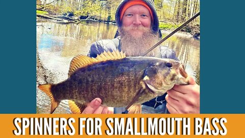 Spinners For Bass Fishing / Smallmouth Bass Fishing Michigan Rivers Spring 2021 /Spring Bass Tactics