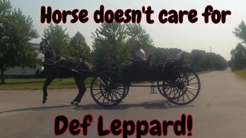 Amish horse doesn't care for Def Leppard!