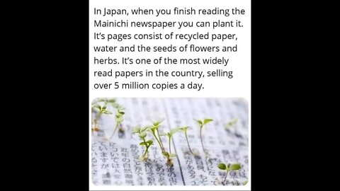 Mainichi Japanese Newspaper ~ Recycled Paper and Seeds of Flowers and Herbs ~ Sustainability
