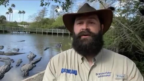 For 73 years, Gatorland has been entertaining and educating families