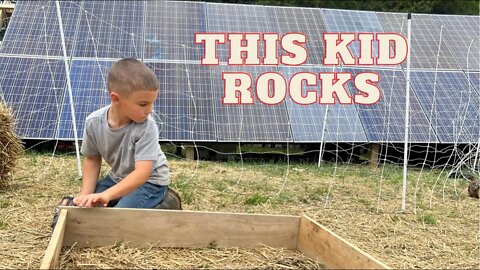 Off-Grid Kid Saves the Garden| Homesteading Projects| Planting & Moving Cows