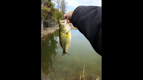 eclipse bank fishing on the private pond