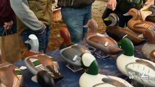 Waterfowl Festival underway at the Eastern Shore, more than 20,000 attend