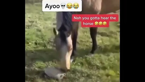 NAH Listen To This Horse tiktok nuke luis 480p