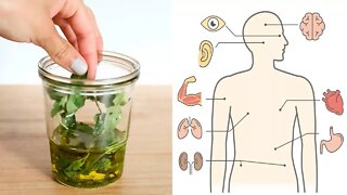 Benefits and Uses of Oregano Oil + How To Make It