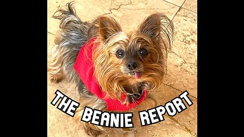 The Beanie Report Ep. 1: Randi Weingarten