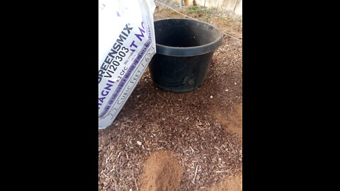 Homesteading #6 - Amending soil
