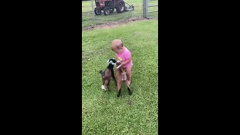 so cute baby boy and baby goat