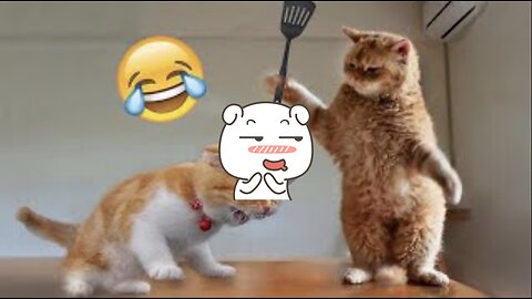 Funniest Animals 2023 😂 Funny Dogs Cats Videos 😺🐶