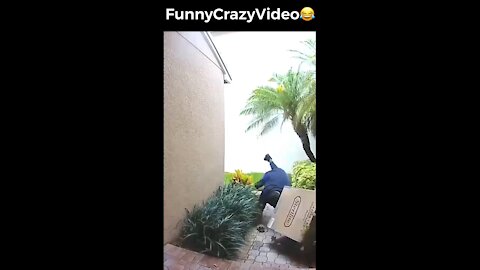 Mr FunnyCrazyVideo😂 Just Incredible Video Funny and Crazy #Like Follow for Follow 🥰