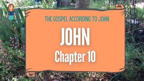 John Chapter 10 | NRSV Bible