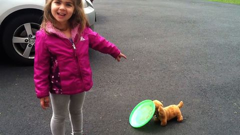 Girl Teaches Toy Dog To Fetch