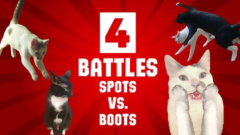 Epic Battle Royale | Spots vs. Boots | Superclip | #play #cat