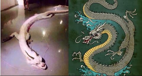 Mysteries, Creatures, and China