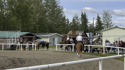 Mobsters Boomernic, AQHA Show, June 7, 2024