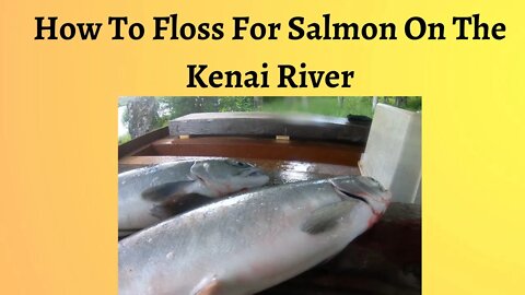 How To Floss For Salmon | Fishing On The Kenai River | Wild West Trail