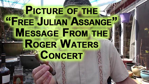 Picture of the “Free Julian Assange” Message From the Roger Waters Concert in Budapest, Hungary