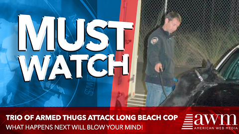 A Trio Of Armed Thugs Ambush A Cop, Quickly Find Out Why Cop K9s Are So Feared