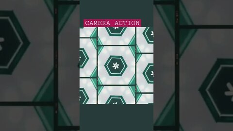 Camera Action