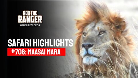 Safari Highlights #708: 19, 20 & 22 August 2022 | Lalashe Maasai Mara | Latest Wildlife Sightings