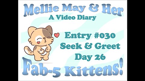 Video Diary Entry 030: Little Personalities Are Showing - Rename Tessie? - Day 26