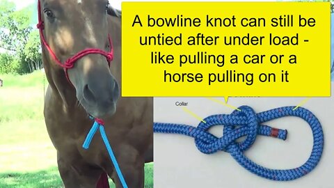 Teaching Pat Parelli How To Connect A Saddle Cinch Latigo Knot - Belt Latch Cinch