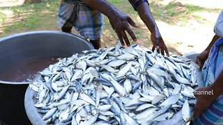 FISH CURRY Recipe | Traditional Fish Curry Recipe Cooking in Village | Tasty Village Food Recipe