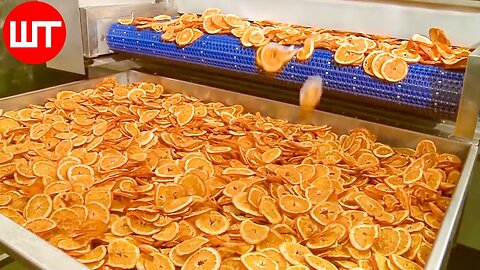 How Dried Fruit Is Made | Dried Tomato, Orange, Apple, Strawberry Factory