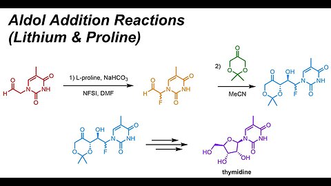 Aldol Addition Reactions with Lithium & Proline (IOC 21)