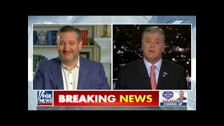 Sen. Cruz: Joe Biden and Kamala Harris Need to Enforce the Rule of Law, Secure the Border