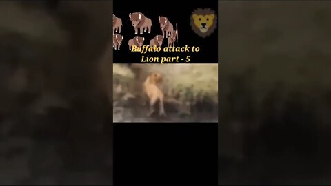 Buffalo attack to lion 🦁 part -5 #shorts #youtubeshorts
