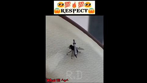 Respect || Samurai fly 😍💯🔥💯😍