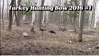 Turkey Hunting Bow 2016 #1