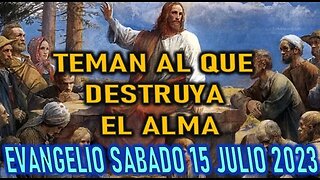 EL EVANGELIO DEL DÍA - TEMAN AL QUE DESTRUYE EL ALMA - SABADO 15 JULIO 2023