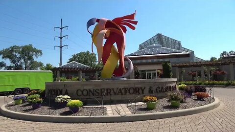 Nicholas Conservatory & Gardens : Rockford, IL : SONY FDR-AX43 : 4K