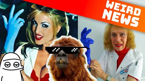 How Llamas Will Save Us, Airbnb Wants Your Money, and More Bad Art | Weird News